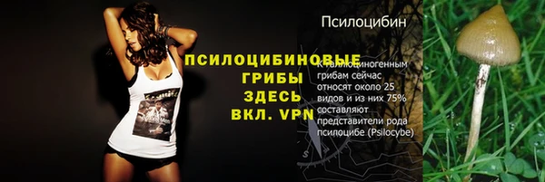 COCAINE Белокуриха