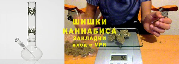 индика Белоозёрский