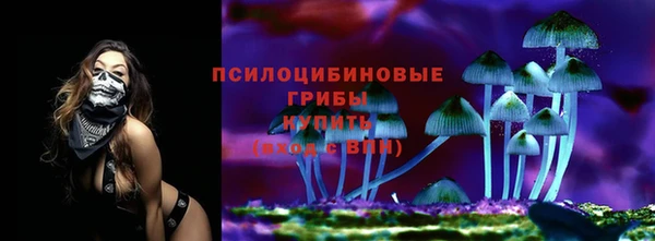 дурь Беломорск