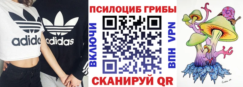 Псилоцибиновые грибы Psilocybe  Шатура 